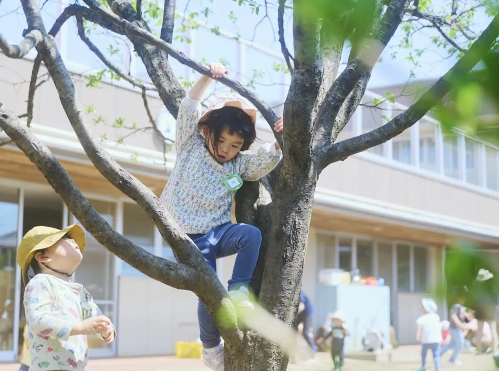 photo of education and childcare