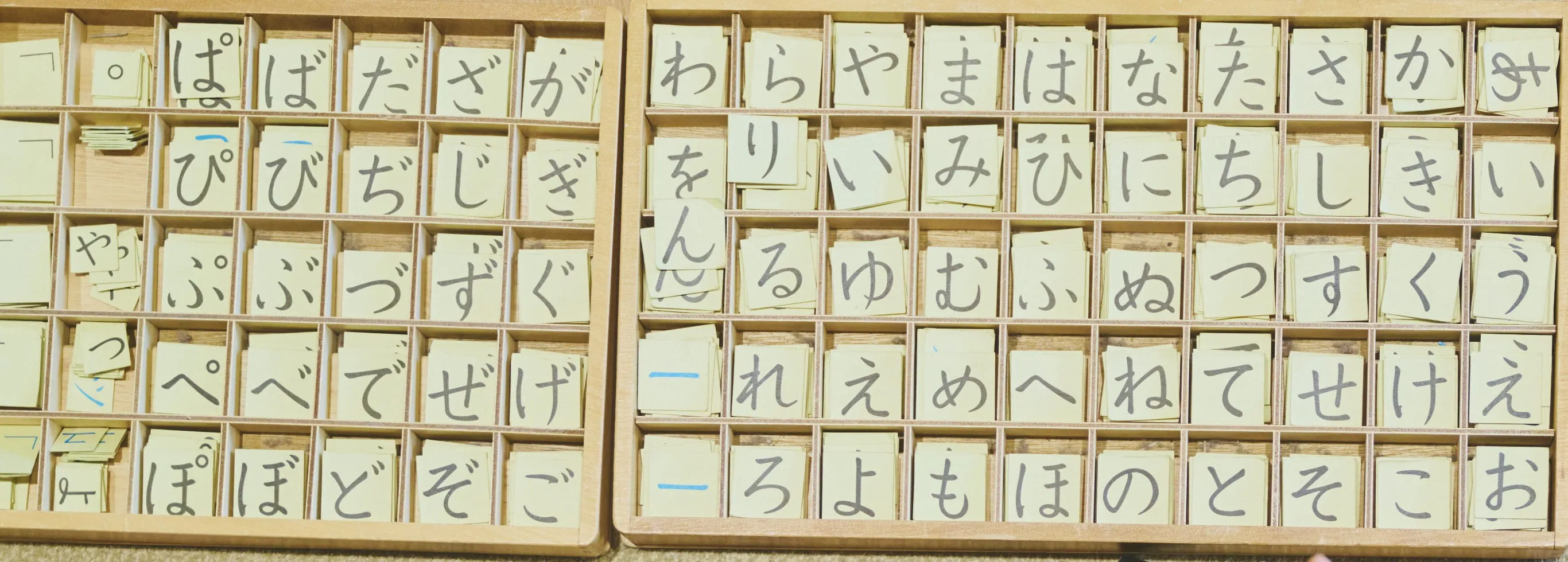 森の子こども園についてのメインイメージ