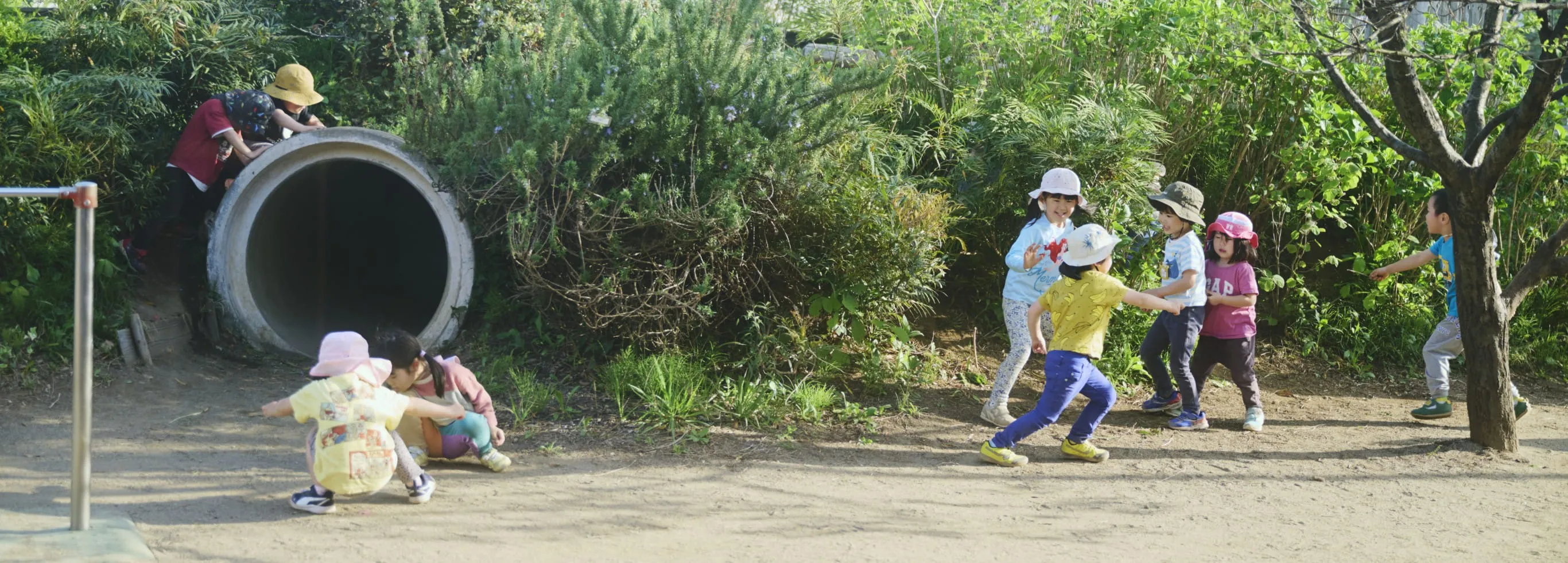 入園案内のメインイメージ